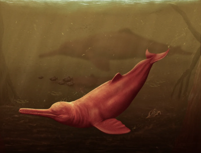 El delfín 'Pebanista Yacaruna' es el más grande jamás descubierto