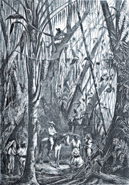 Grabado de un grupo de insurrectos en la manigua. De La Ilustración Española y Americana (1872).