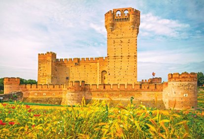 Castillo de La Mota, Medina del Campo